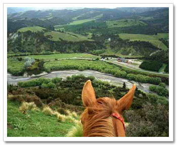 Horseback