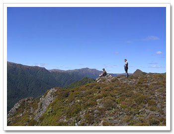 Kaimanawa Ranges