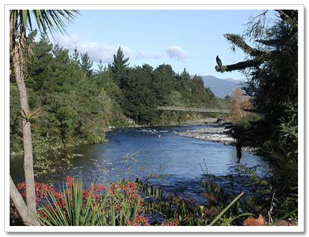 Lower Tongariro River