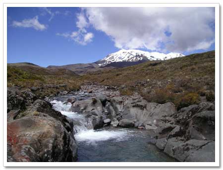 Upper Tongariro River