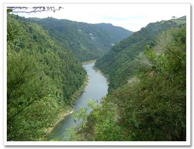Whanganui River